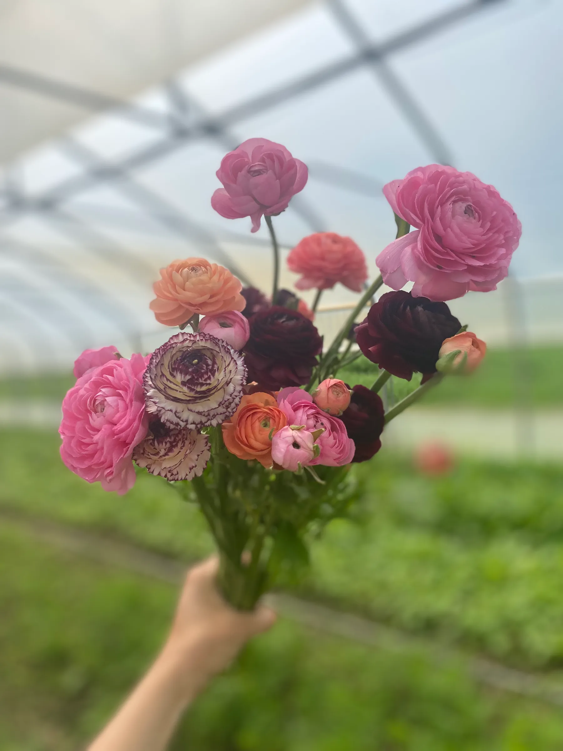 Bouquet de fleurs roses, orange et bordeaux tenu à la main dans une serre