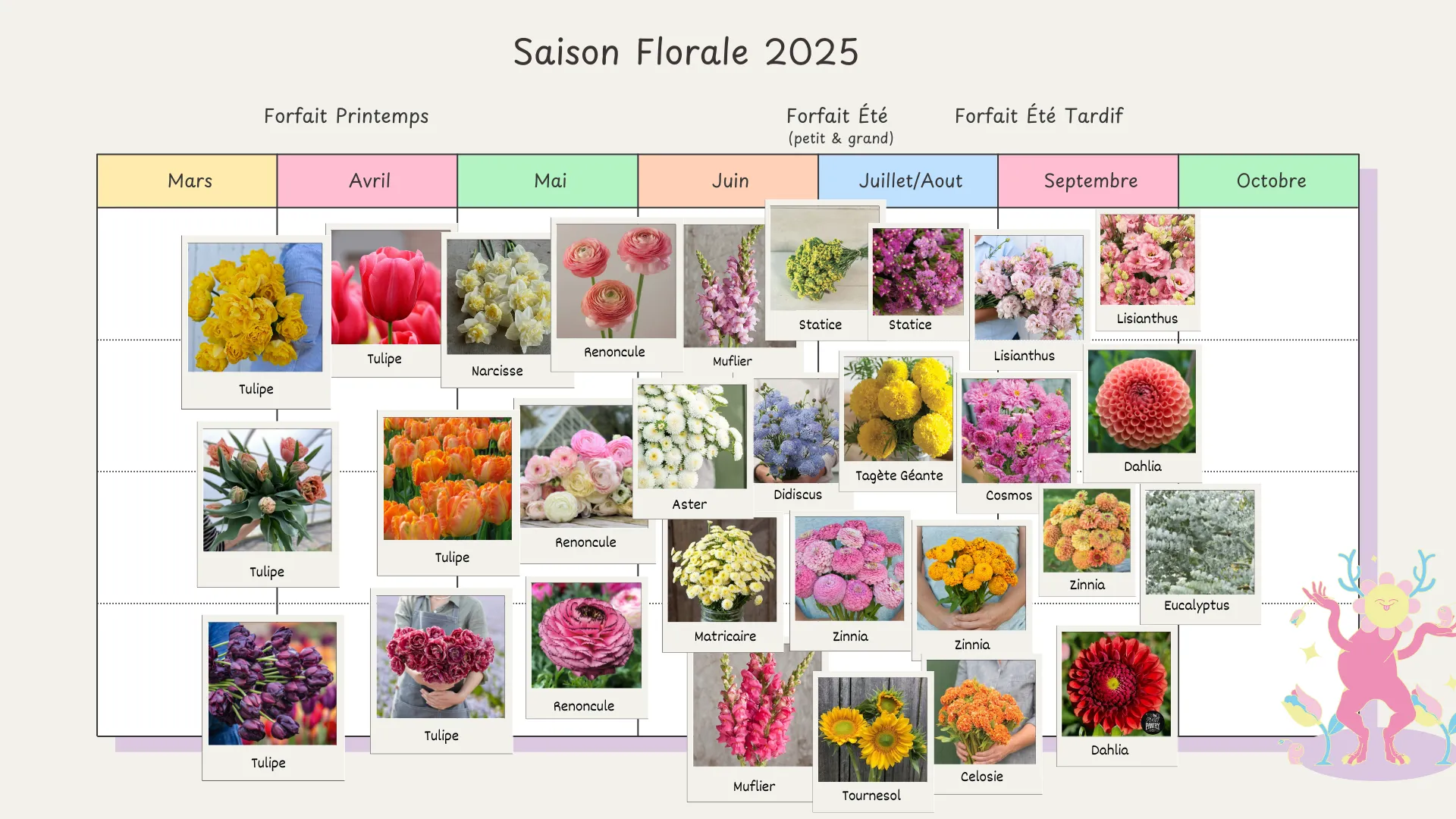 Saison florale 2025 : forfaits Printemps, Été et Été tardif, de mars à octobre, avec les fleurs de chaque mois.